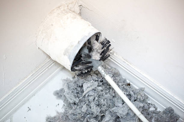 Best Air Vent Cleaning Services  in Harrison, MI