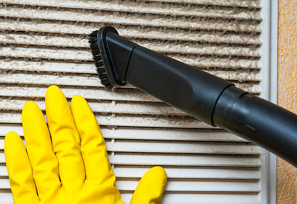 Best Professional Duct Cleaning Services  in Harrison, MI